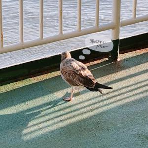 櫻坂46の1stシングル「 - 画像2