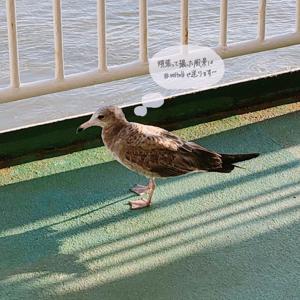 櫻坂46の1stシングル「 - 画像3