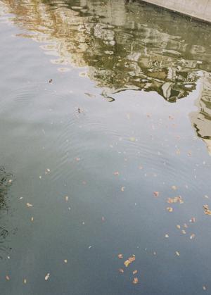 喜🌸✨ - 画像3