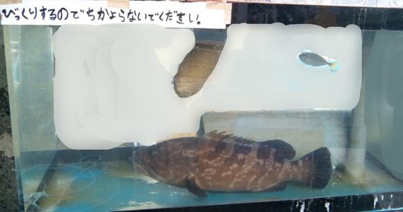 火を吹いたら口の中こげちゃった設定 - 画像4