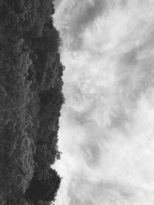 てんカメ「なぜ 恋をして来なかったんだろう?」 - 画像2