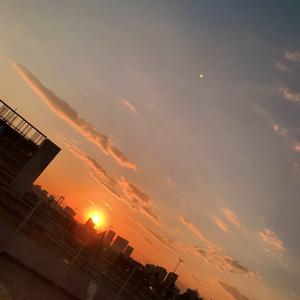 We are Buddies!!!!!!! - 画像3