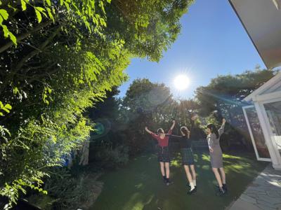 みかん食べたい - 画像8