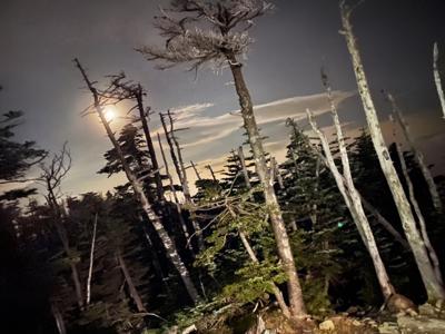 1stシングルヒット祈願 - 画像7