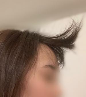 本日SHOWROOM - 画像2