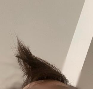 本日SHOWROOM - 画像3