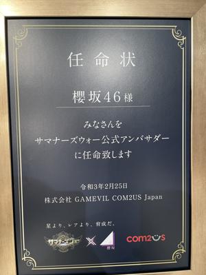 ラグドール - 画像2