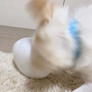 ‪‪☺︎‬ - 画像6