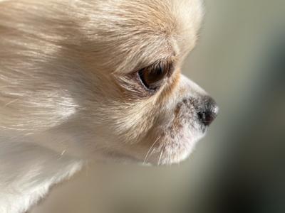 ‪‪☺︎‬ - 画像2