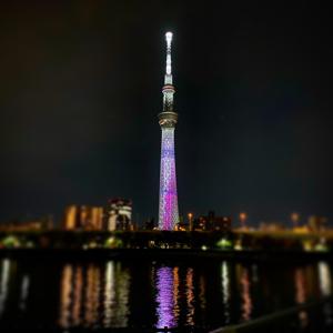 灯 - 画像3