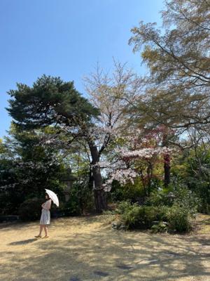 アップトゥボーイさん - 画像3