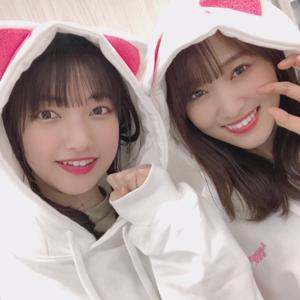 対の関係はいろんなところで成り - 画像8