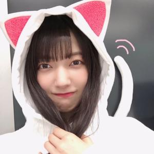 対の関係はいろんなところで成り - 画像9