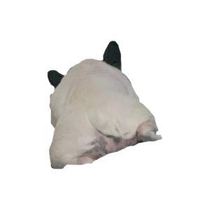 🐇…💟 - 画像4