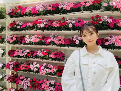 色 - 画像2