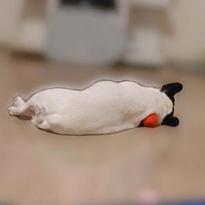 お誕生日おめでとう - 画像3