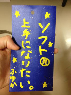 ソフトボール - 画像3