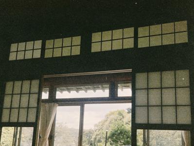 たこ - 画像6