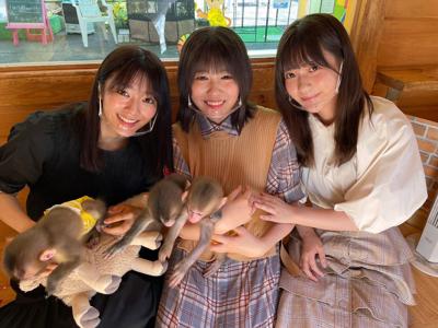 🌸流れ弾発売🌸〜おさるを添えて〜 - 画像2