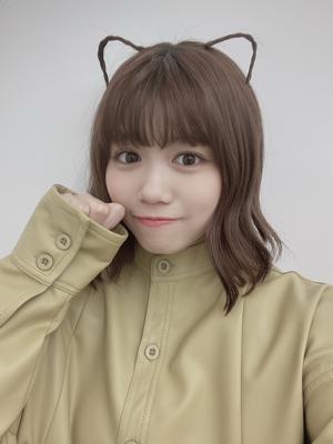猫 - 画像12