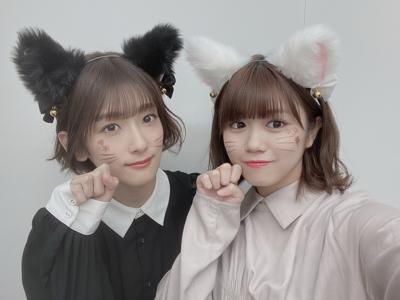 猫 - 画像4