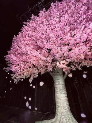 心の底から信じ切ることにあま - 画像2