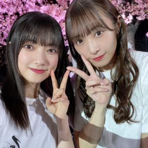 心の底から信じ切ることにあま - 画像5