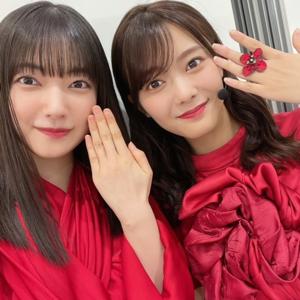 ねことねこが見つめ合っている見 - 画像5