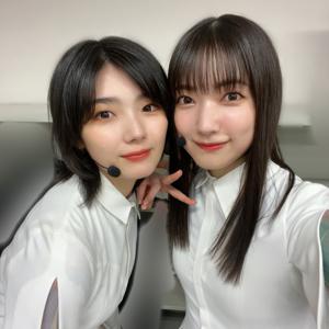 ねことねこが見つめ合っている見 - 画像6