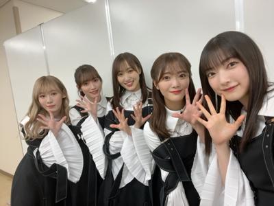 ねことねこが見つめ合っている見 - 画像7