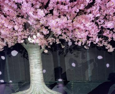 1周年🌸 - 画像10