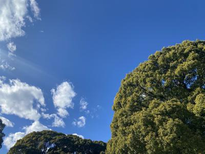 カラフル - 画像5
