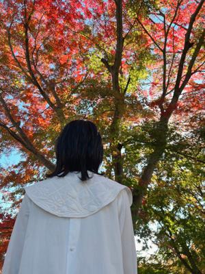 2021 - 画像5