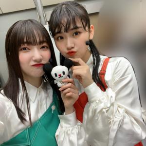 今、私の目の前にあるみか - 画像2