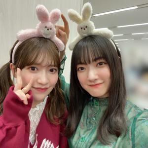 今、私の目の前にあるみか - 画像6