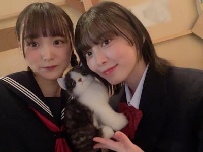 猫 - 画像3