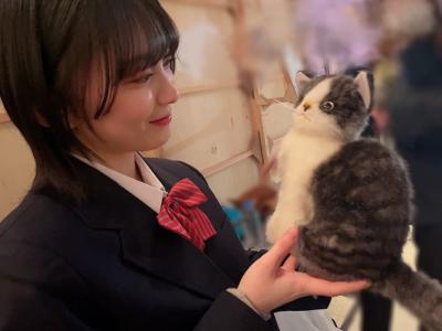 猫 - 画像4