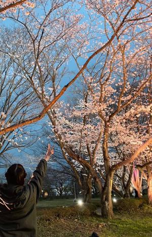 CDTV ライブ! ライブ! 五月雨よ - 画像4
