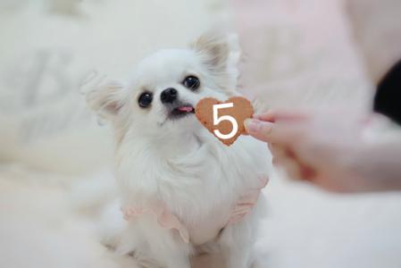 スタート - 画像6