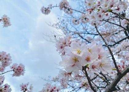 秋から春🌸 - 画像2