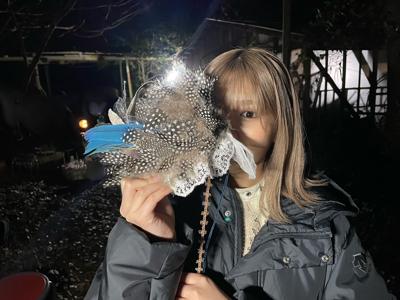 碧 - 画像2