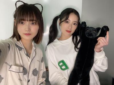 ミーグリ5/6.6/6 - 画像2