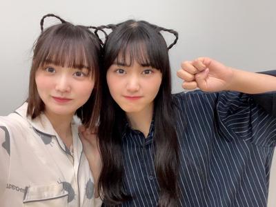 ミーグリ🐈‍⬛🐤 - 画像2