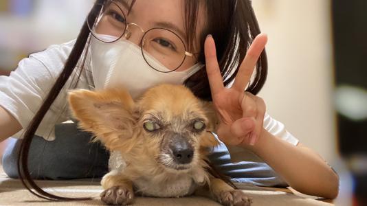 メルちゃん大好き!!! - 画像12
