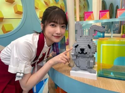 7月から9月まで3ヶ月間、シー - 画像2