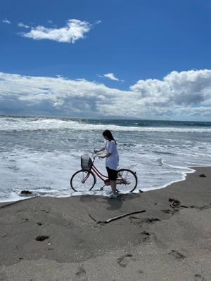 7月から9月まで3ヶ月間、シー - 画像4