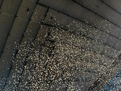 Buddiesのみなさんの、人 - 画像4