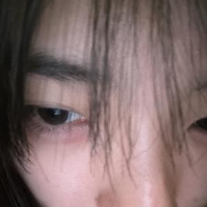  - 画像2