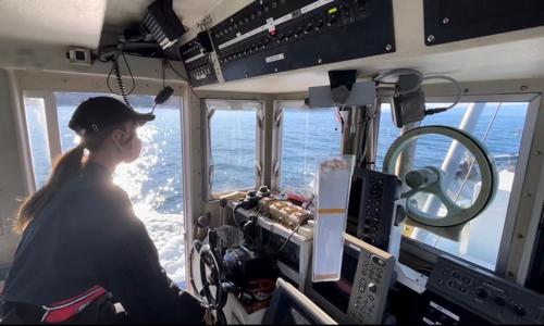 いつか海とお魚 - 画像2