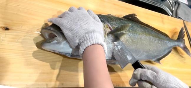 いつか海とお魚 - 画像4